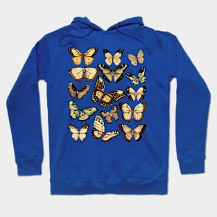 Vintage Butterflies 6.0 Hoodie